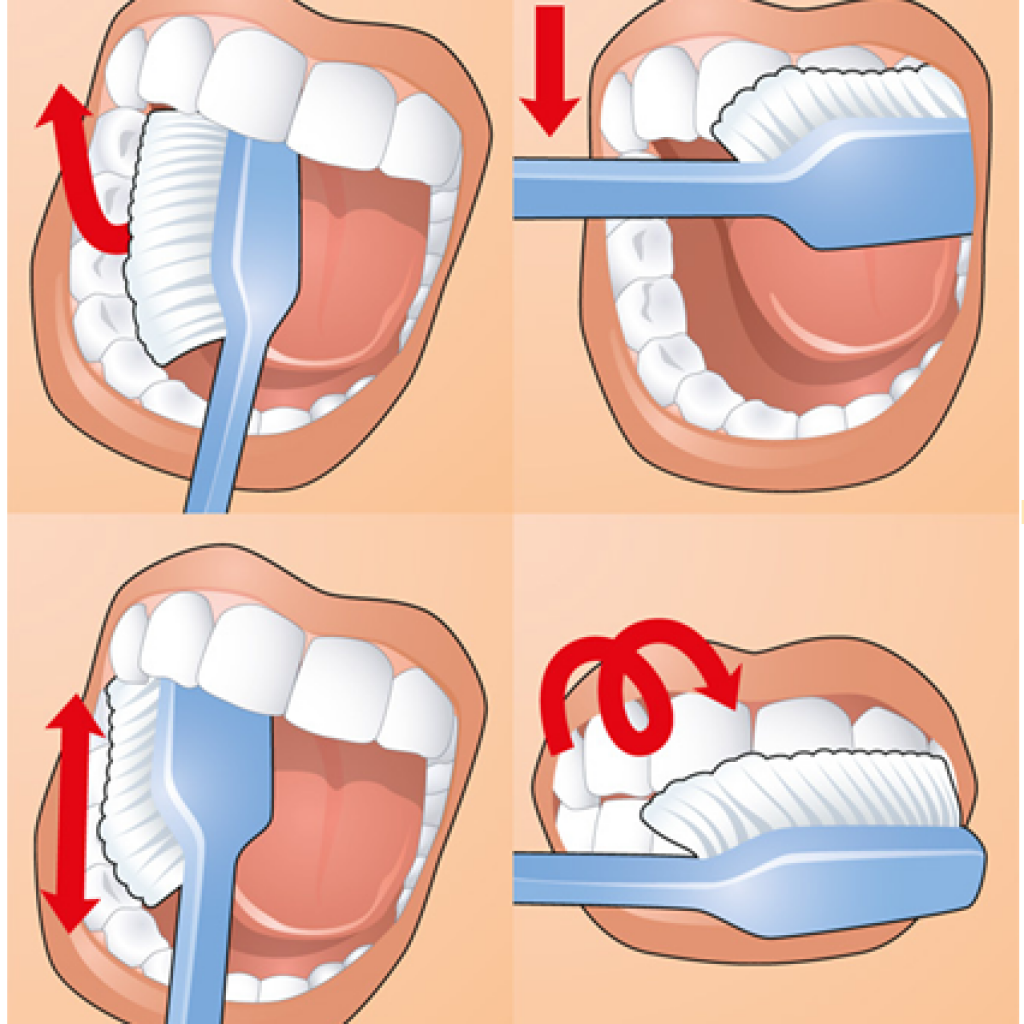 Как правильно ухаживать за зубами. Детская стоматология